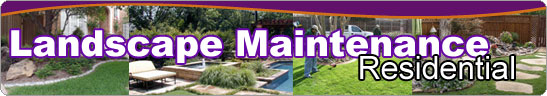 banner_tfilandscape_res.jpg