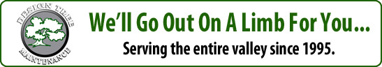 banner-design-tree.jpg