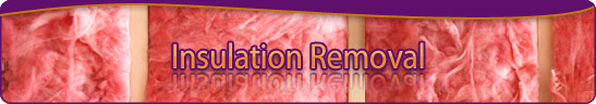 banner-insulation-removal.jpg