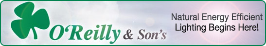 Skylights OReilly and Sons