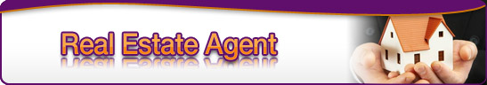 Real Estate Agent