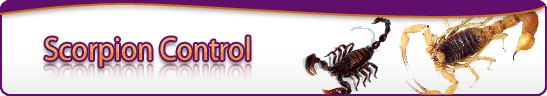 banner-truly-nolen.jpg