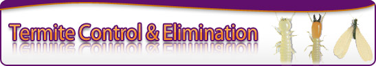 banner-truly-nolen.jpg