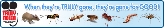banner-truly-nolen.jpg